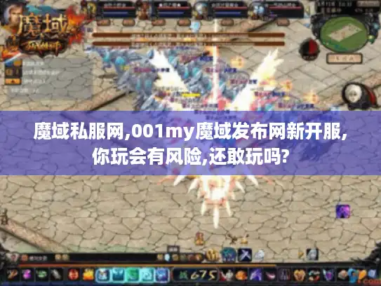 魔域私服网,001my魔域发布网新开服,你玩会有风险,还敢玩吗?