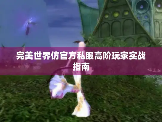 完美世界仿官方私服高阶玩家实战指南