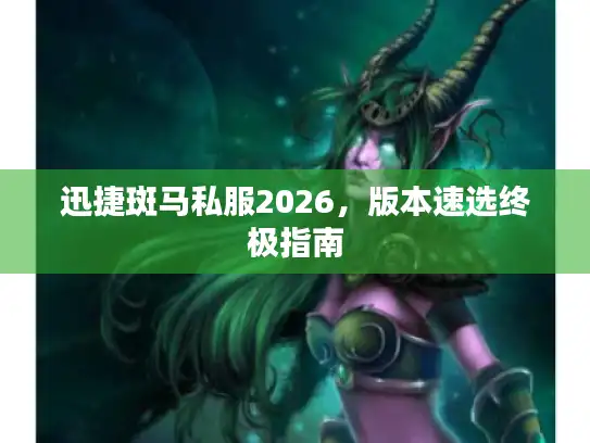 迅捷斑马私服2026，版本速选终极指南