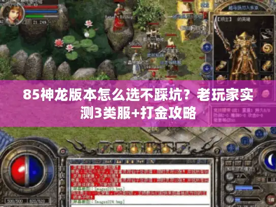 85神龙版本怎么选不踩坑?老玩家实测3类服+打金攻略 85神龙版本怎么选不踩坑?老玩家实测3类服+打金攻略
