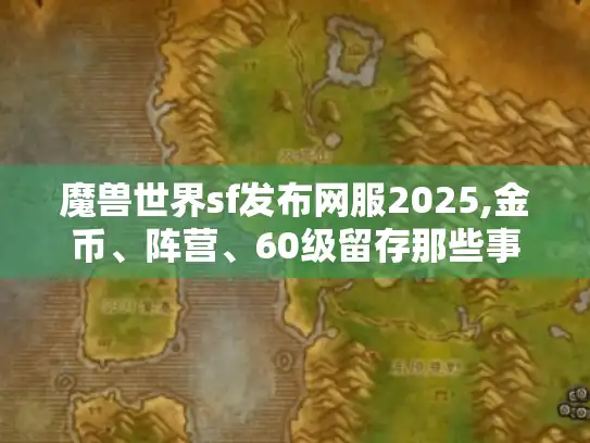 魔兽世界sf发布网服2025,金币、阵营、60级留存那些事儿