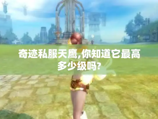 奇迹私服天鹰,你知道它最高多少级吗?