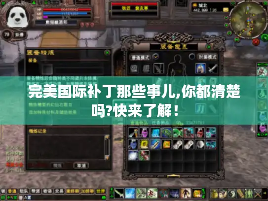 完美国际补丁那些事儿,你都清楚吗?快来了解! 完美国际补丁那些事儿,你都清楚吗?快来了解!