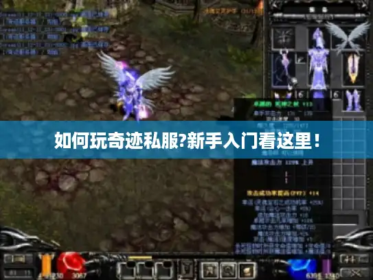 如何玩奇迹私服?新手入门看这里！