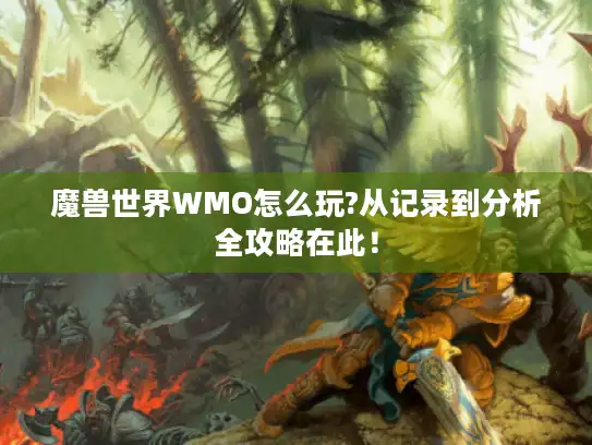 魔兽世界WMO怎么玩?从记录到分析全攻略在此！