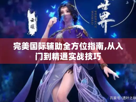 完美国际辅助全方位指南,从入门到精通实战技巧 完美国际辅助全方位指南,从入门到精通实战技巧
