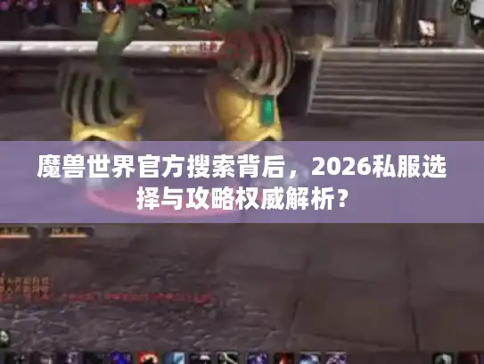 魔兽世界官方搜索背后，2026私服选择与攻略权威解析？