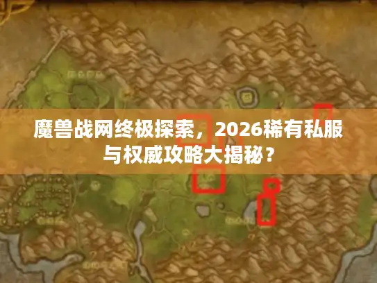 魔兽战网终极探索，2026稀有私服与权威攻略大揭秘？