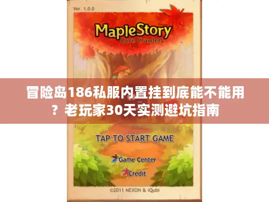 冒险岛186私服内置挂到底能不能用？老玩家30天实测避坑指南