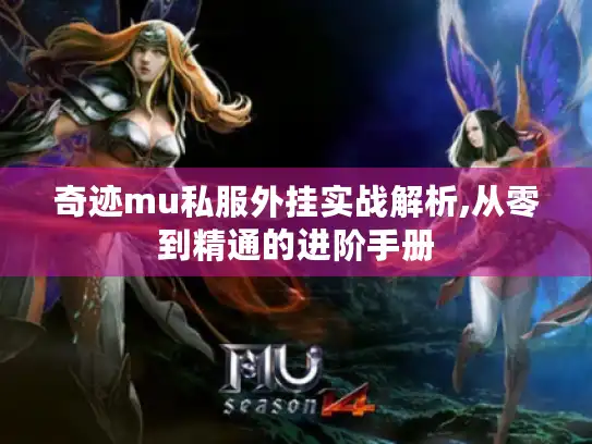 奇迹mu私服外挂实战解析,从零到精通的进阶手册