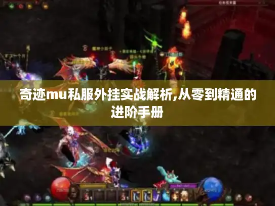 奇迹mu私服外挂实战解析,从零到精通的进阶手册