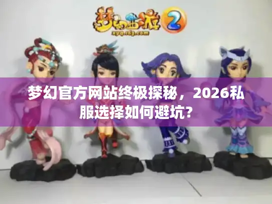 梦幻官方网站终极探秘，2026私服选择如何避坑？