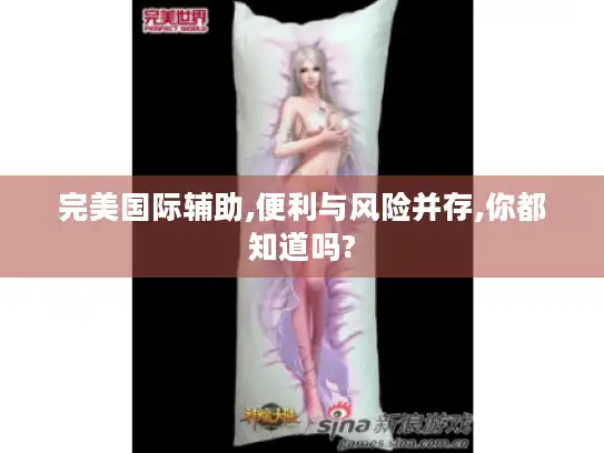 完美国际辅助,便利与风险并存,你都知道吗?