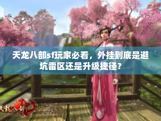 天龙八部sf玩家必看，外挂到底是避坑雷区还是升级捷径？