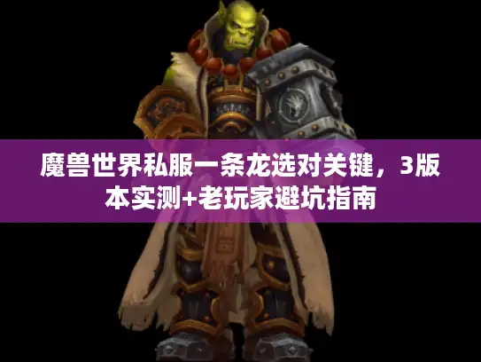 魔兽世界私服一条龙选对关键，3版本实测+老玩家避坑指南