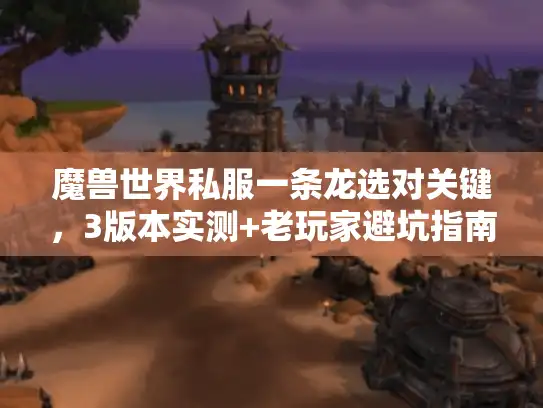魔兽世界私服一条龙选对关键，3版本实测+老玩家避坑指南