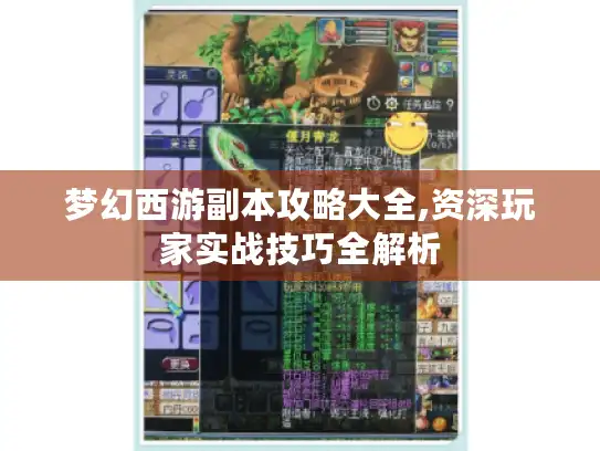 梦幻西游副本攻略大全,资深玩家实战技巧全解析