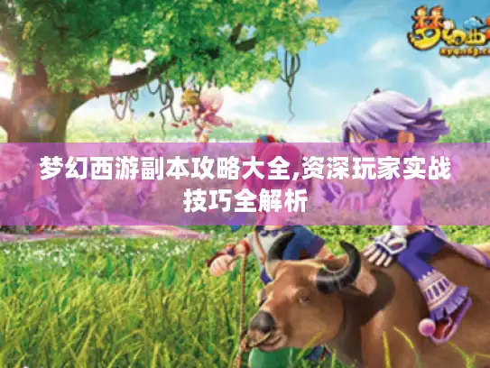 梦幻西游副本攻略大全,资深玩家实战技巧全解析