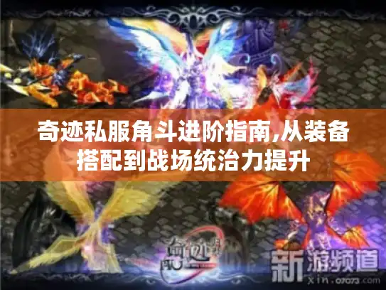 奇迹私服角斗进阶指南,从装备搭配到战场统治力提升
