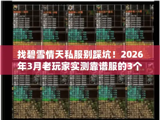 找碧雪情天私服别踩坑！2026年3月老玩家实测靠谱服的3个关键