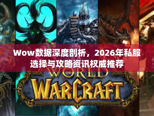Wow数据深度剖析，2026年私服选择与攻略资讯权威推荐