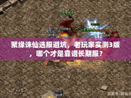 聚缘诛仙选服避坑，老玩家实测3版，哪个才是靠谱长期服？