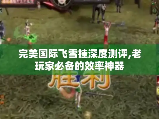 完美国际飞雪挂深度测评,老玩家必备的效率神器