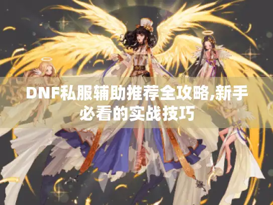 DNF私服辅助推荐全攻略,新手必看的实战技巧