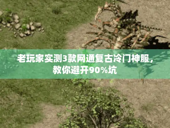 老玩家实测3款网通复古冷门神服,教你避开90%坑 老玩家实测3款网通复古冷门神服,教你避开90%坑