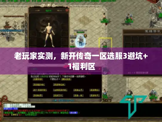 老玩家实测，新开传奇一区选服3避坑+1福利区