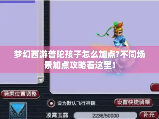 梦幻西游普陀孩子怎么加点?不同场景加点攻略看这里！