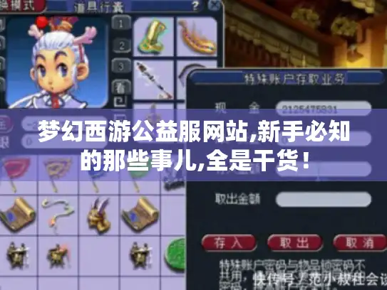梦幻西游公益服网站,新手必知的那些事儿,全是干货！