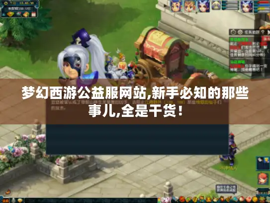 梦幻西游公益服网站,新手必知的那些事儿,全是干货！