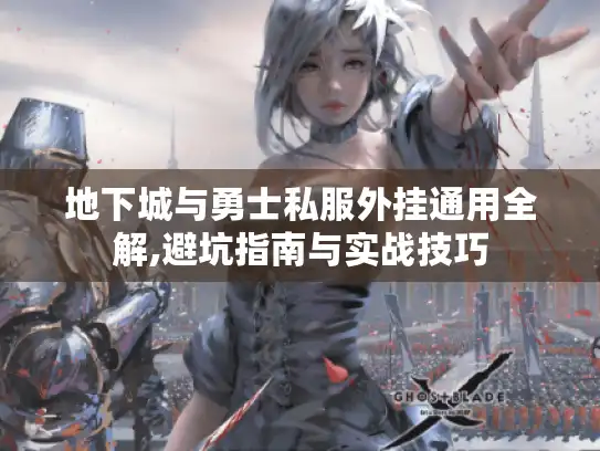地下城与勇士私服外挂通用全解,避坑指南与实战技巧