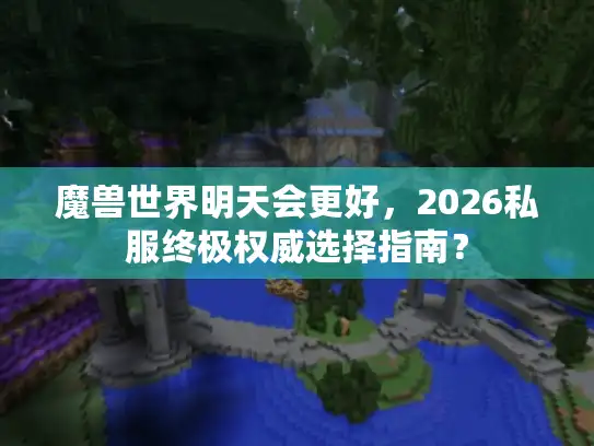魔兽世界明天会更好，2026私服终极权威选择指南？