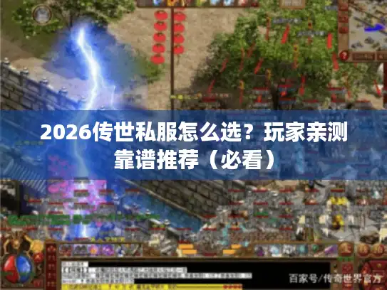 2026传世私服怎么选?玩家亲测靠谱推荐(必看) 2026传世私服怎么选?玩家亲测靠谱推荐(必看)