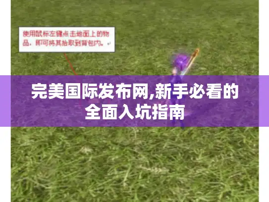完美国际发布网,新手必看的全面入坑指南