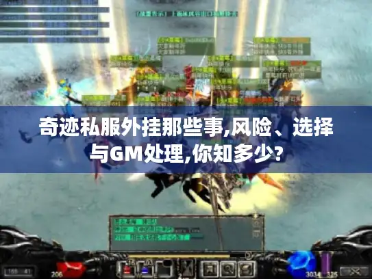 奇迹私服外挂那些事,风险、选择与GM处理,你知多少? 奇迹私服外挂那些事,风险、选择与GM处理,你知多少?