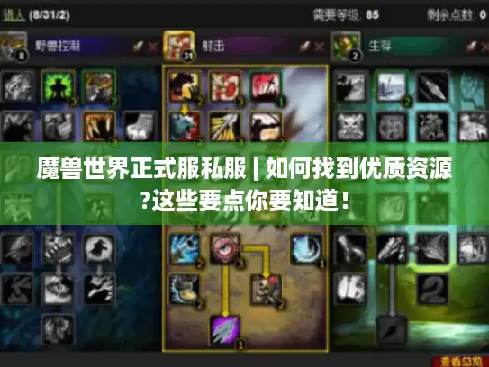 魔兽世界正式服私服 | 如何找到优质资源?这些要点你要知道！