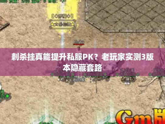 刺杀挂真能提升私服PK？老玩家实测3版本隐藏套路