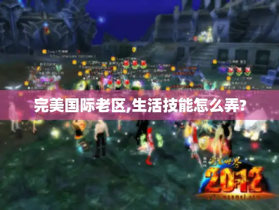完美国际老区,生活技能怎么弄? 完美国际老区,生活技能怎么弄?