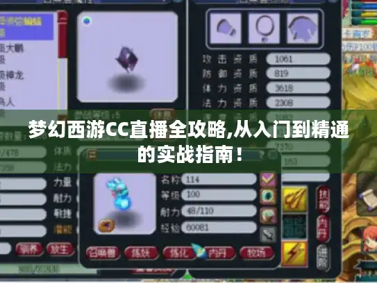 梦幻西游CC直播全攻略,从入门到精通的实战指南！