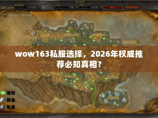 wow163私服选择，2026年权威推荐必知真相？