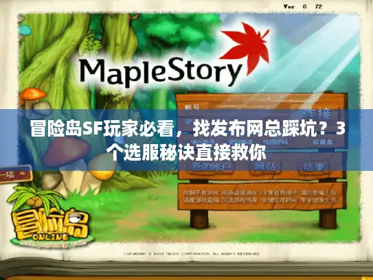 冒险岛SF玩家必看，找发布网总踩坑？3个选服秘诀直接救你
