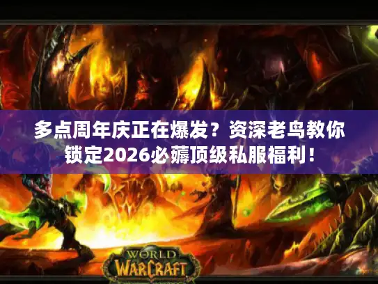 多点周年庆正在爆发？资深老鸟教你锁定2026必薅顶级私服福利！