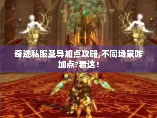 奇迹私服圣导加点攻略,不同场景咋加点?看这！