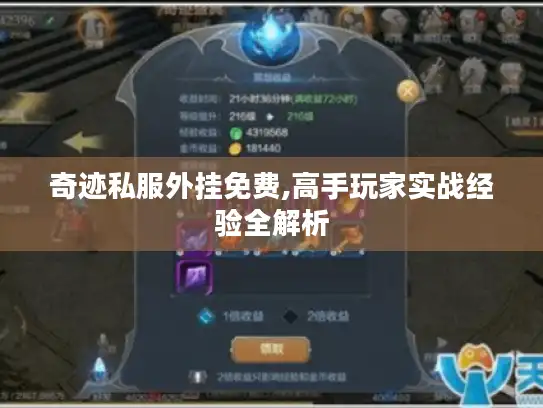 奇迹私服外挂免费,高手玩家实战经验全解析