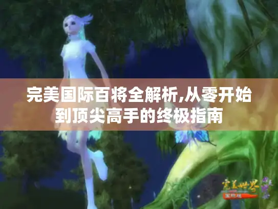 完美国际百将全解析,从零开始到顶尖高手的终极指南