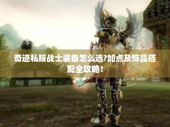 奇迹私服战士装备怎么选?加点及饰品搭配全攻略！