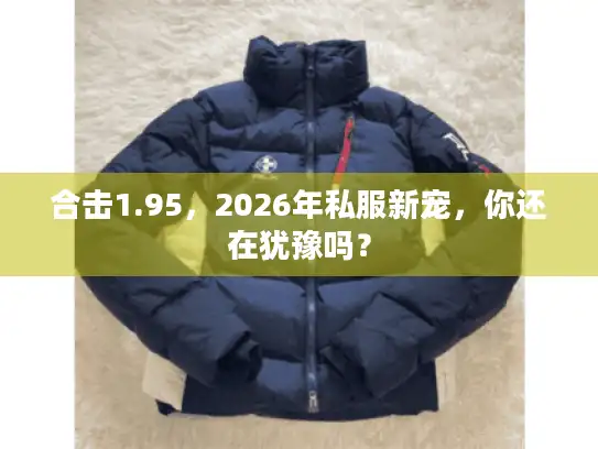 合击1.95，2026年私服新宠，你还在犹豫吗？